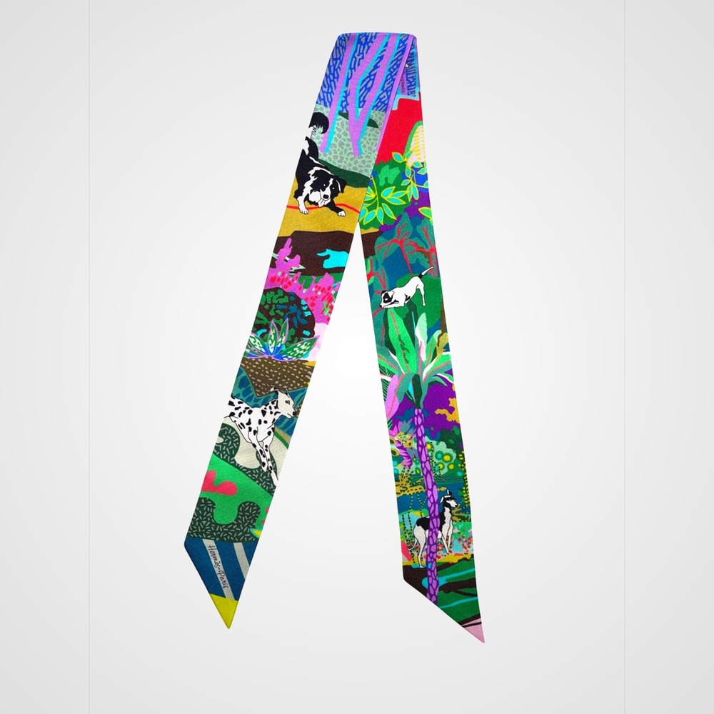 Hermès Twilly En Liberte Scarf Skinny Silk Colorful Print - Picture 2 of 7